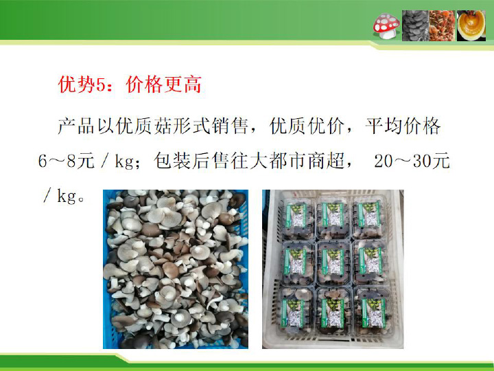 食用菌栽培料瞬時爆破滅菌新技術及平菇栽培應用-13.jpg