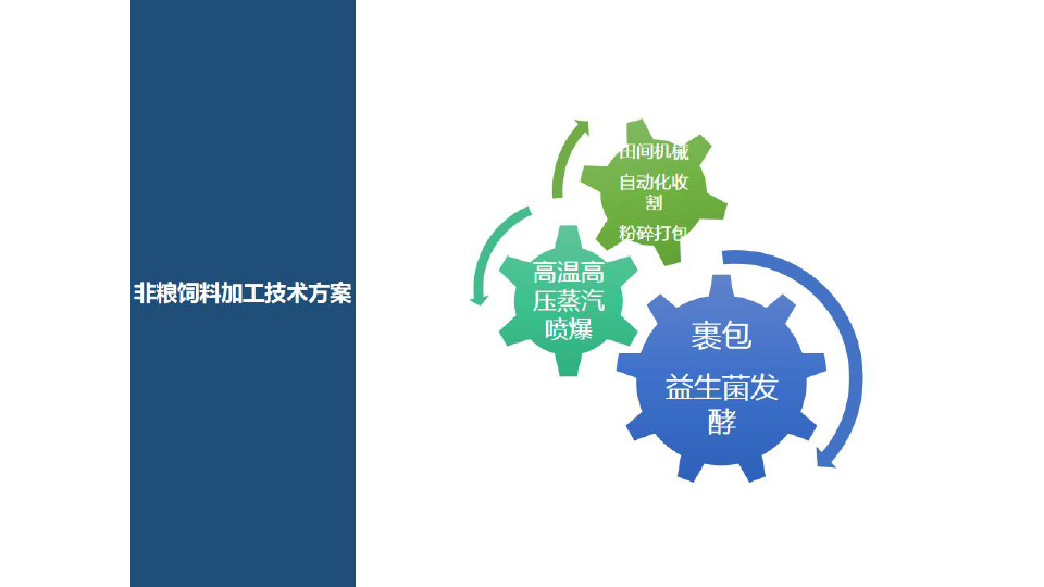 節(jié)-17.jpg